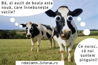 ~~ChAt~~CaFeNeA~~ - sau dale degetzelul si...astea sunt....sa av fac - ~ChAt~(~CaFeNeA~)~
